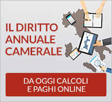 Diritto annuale on line
