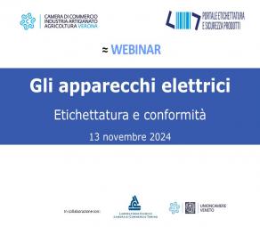 Immagine Webinar apparecchi elettrici
