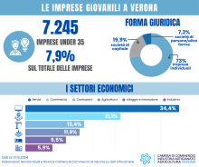 Infografica imprese giovanili